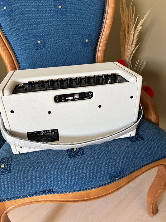 Positive Grid Spark 40 – Ampli Guitare 40W Bluetooth (White)