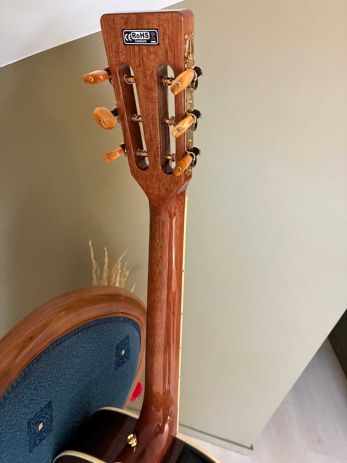 Takamine GY51E N